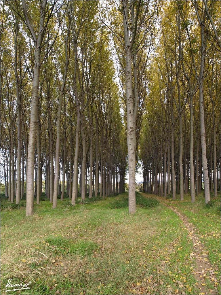 Foto de Alagón (Zaragoza), España