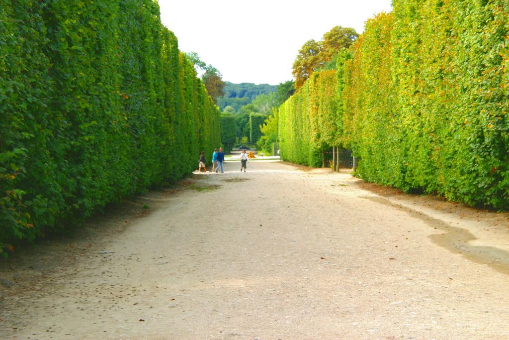 Foto de Versalles, Francia