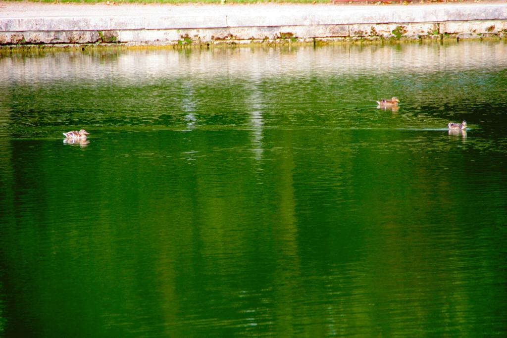 Foto de Versalles, Francia
