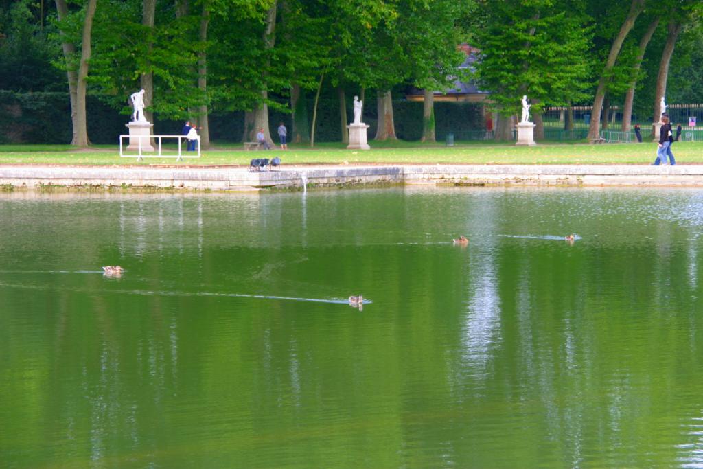 Foto de Versalles, Francia