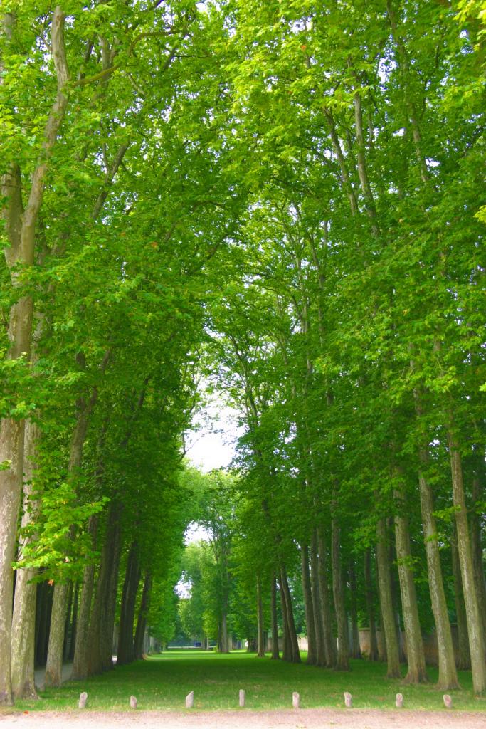 Foto de Versalles, Francia