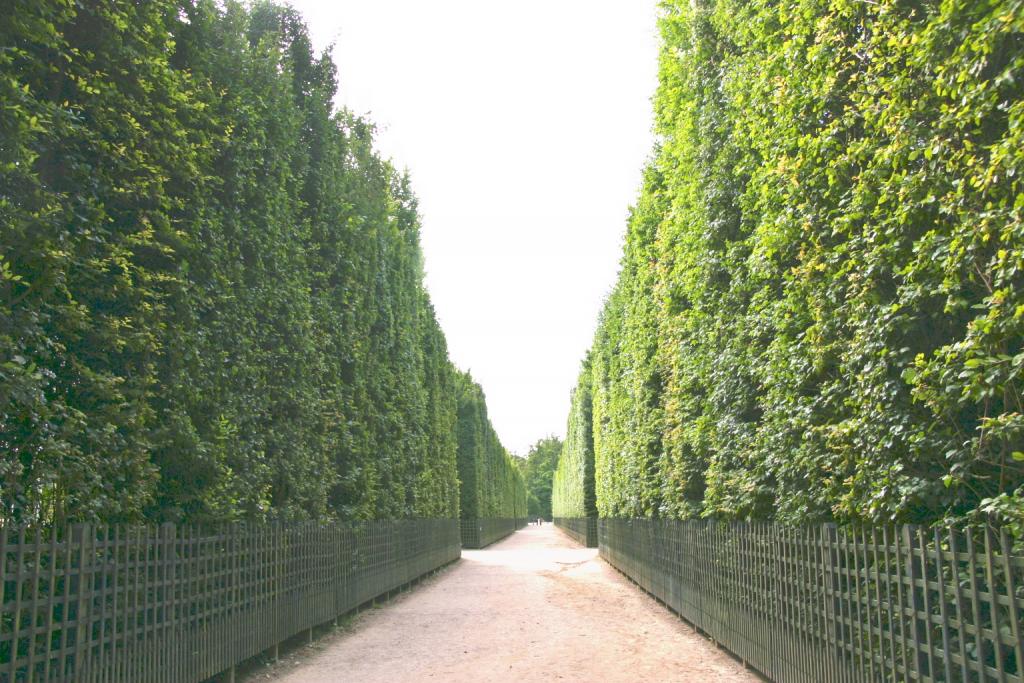 Foto de Versalles, Francia