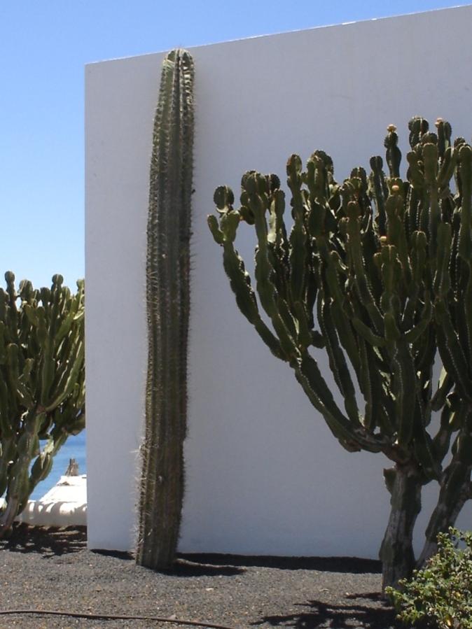 Foto de Lanzarote (Las Palmas), España