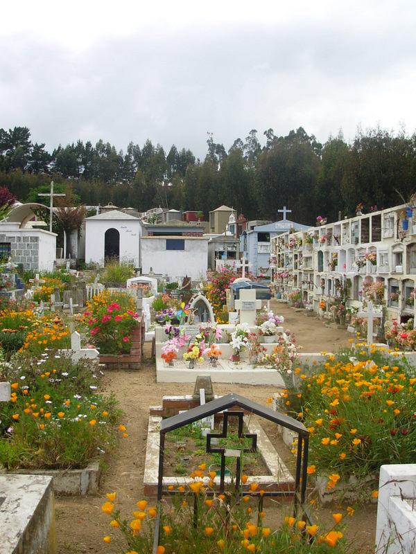 Foto de El Quisco, Chile