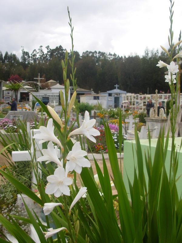 Foto de El Quisco, Chile