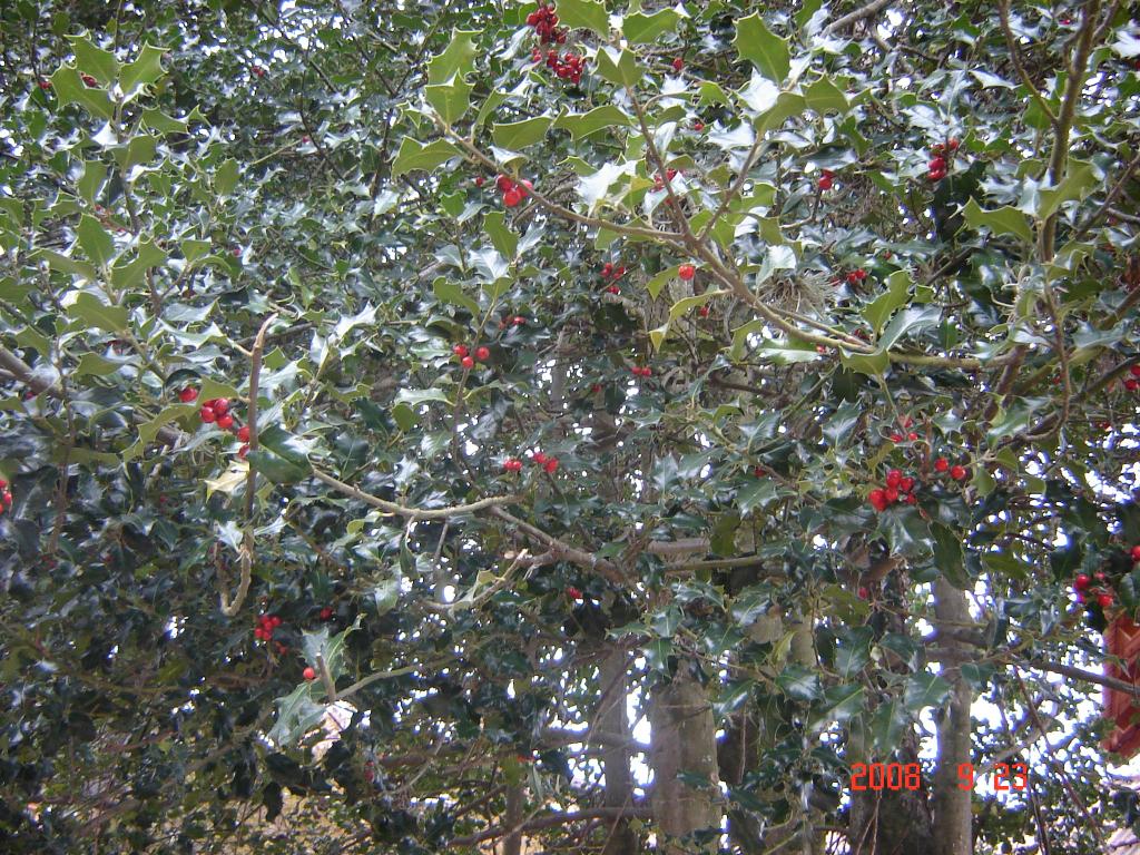 Foto de Embalse (Córdoba), Argentina