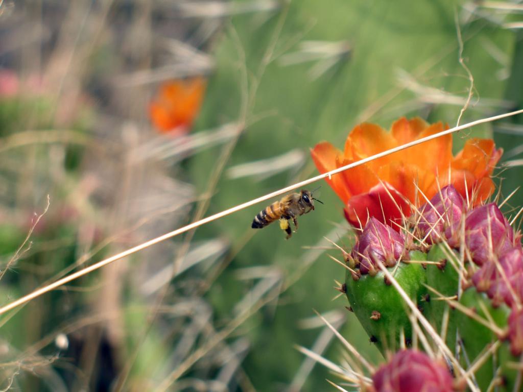 Foto de Mexico D.F., México