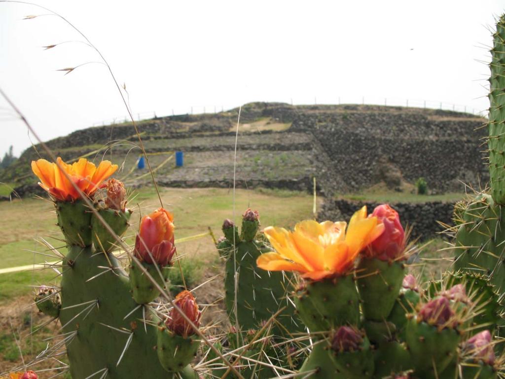 Foto de Mexico D.F., México