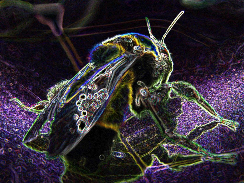 Foto de Mexico D.F, México