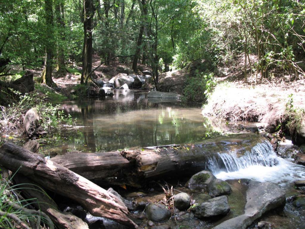 Foto de Mexico D.F, México