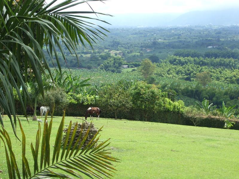 Foto de Montenegro, Colombia