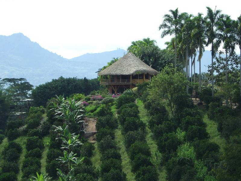 Foto de Quimbaya, Colombia