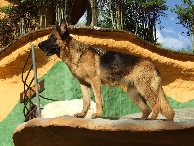 Foto de Quimbaya, Colombia