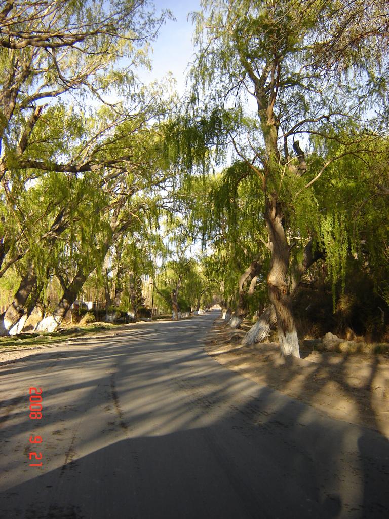 Foto de Rodeo (San Juan), Argentina