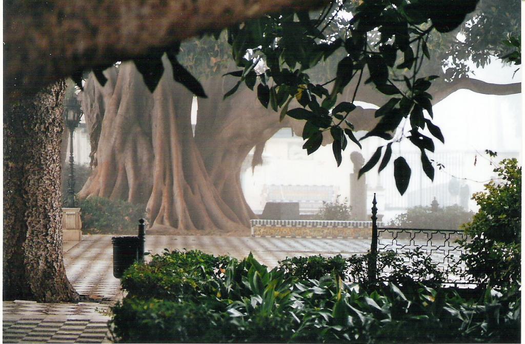 Foto de Cádiz (Andalucía), España