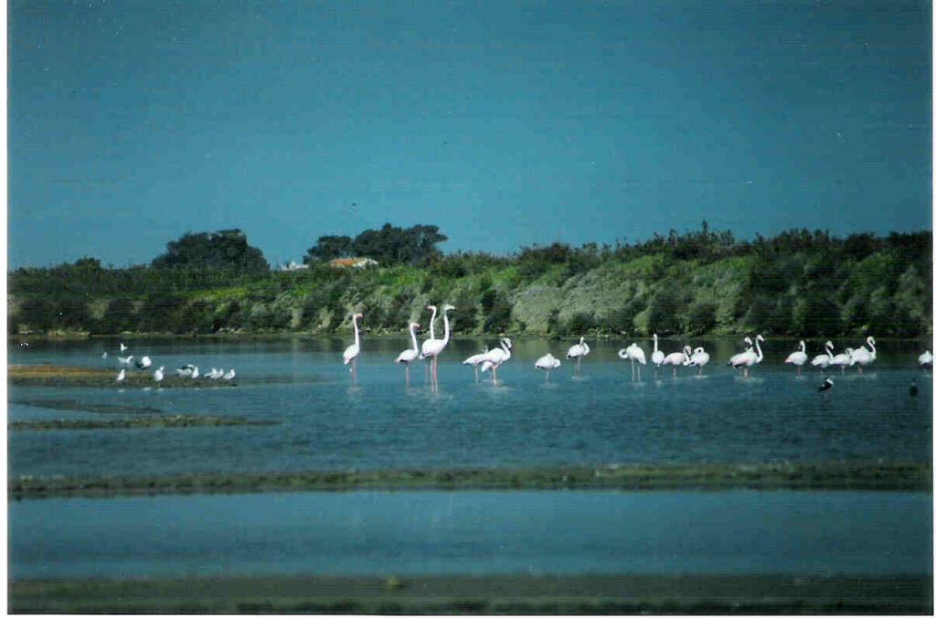 Foto de Cádiz (Andalucía), España