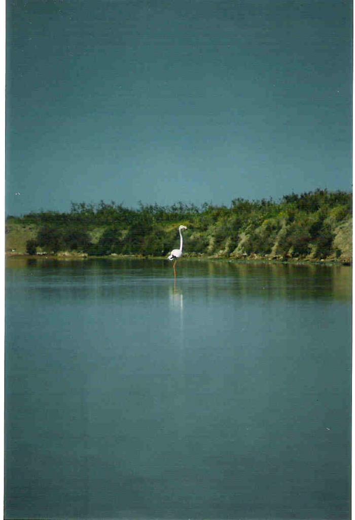 Foto de Cádiz (Andalucía), España