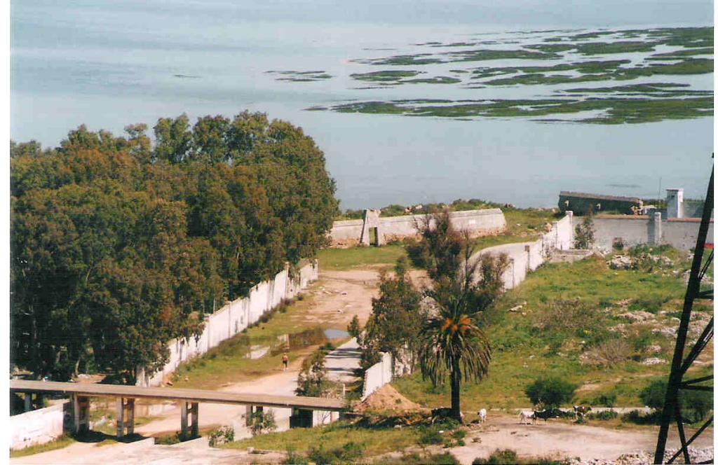 Foto de San Fernando (Cádiz), España