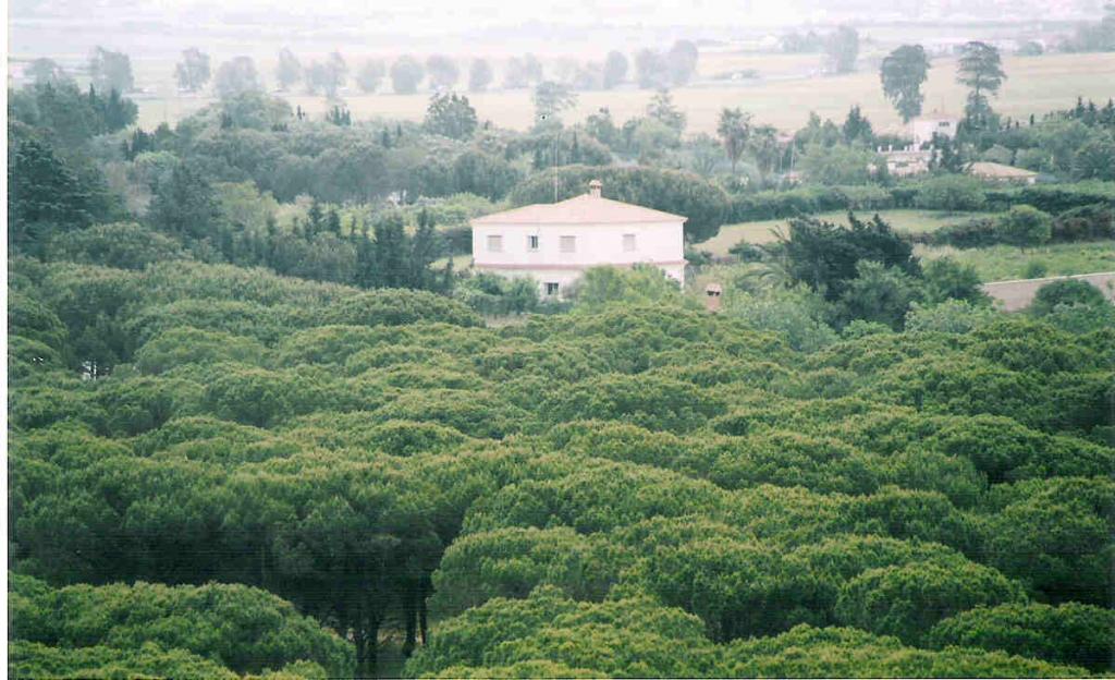 Foto de Chiclana (Cádiz), España