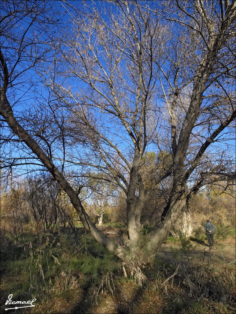 Foto de Zaragoza (Aragón), España