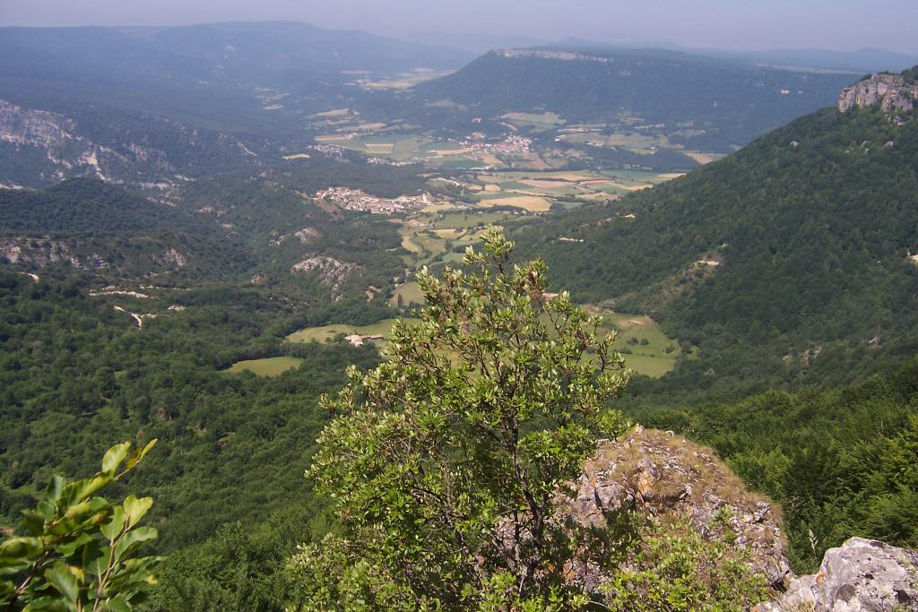 Foto de Artaza (Navarra), España