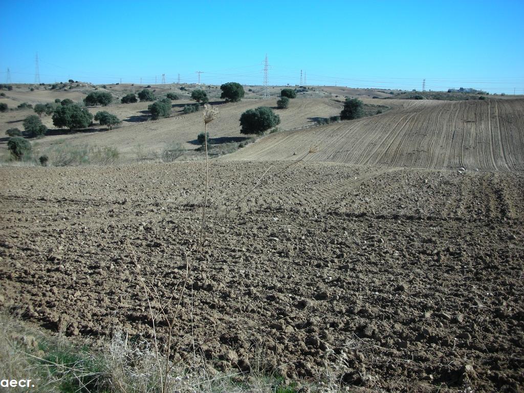 Foto de Majadahonda (Madrid), España