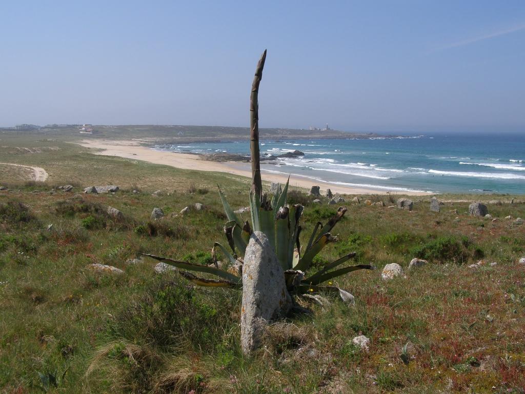 Foto de Coruña (A Coruña), España