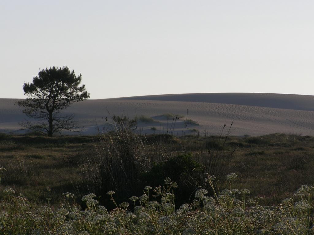 Foto de Ribeira (A Coruña), España