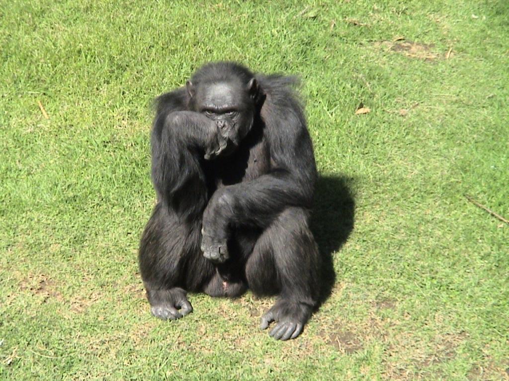 Foto de Guadalajara, México