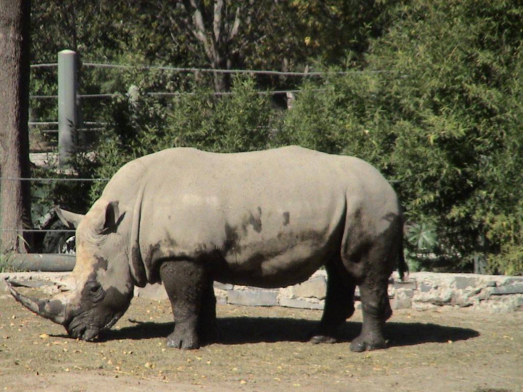 Foto de Guadalajara, México