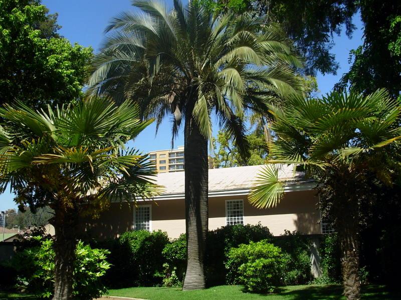 Foto de Viña del Mar, Chile