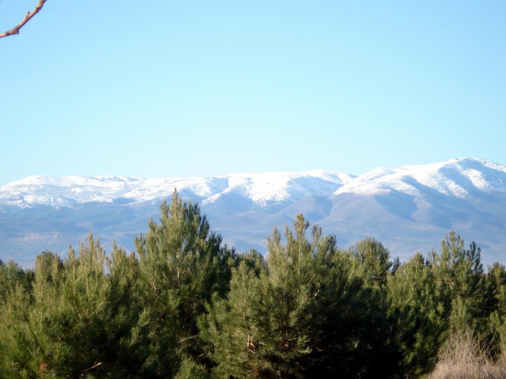Foto de La Jamula (Granada), España