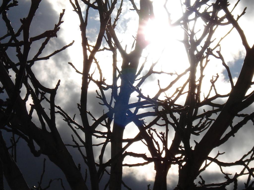 Foto de La Jamula (Granada), España