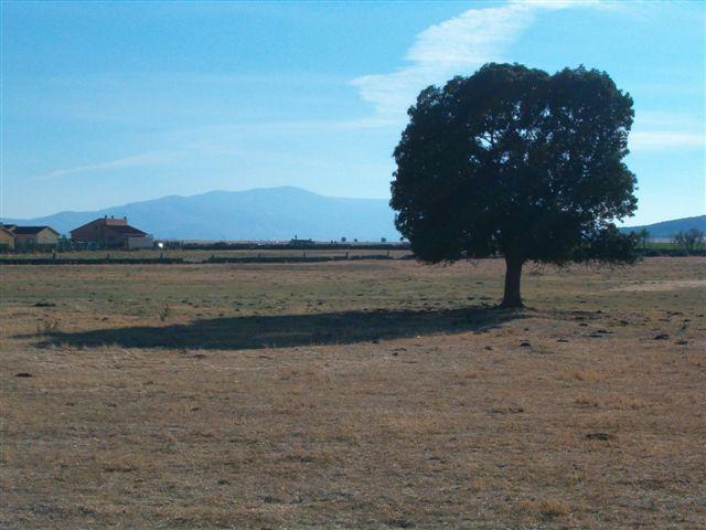 Foto de Padiernos (Ávila), España