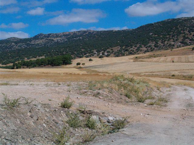Foto de Padiernos (Ávila), España