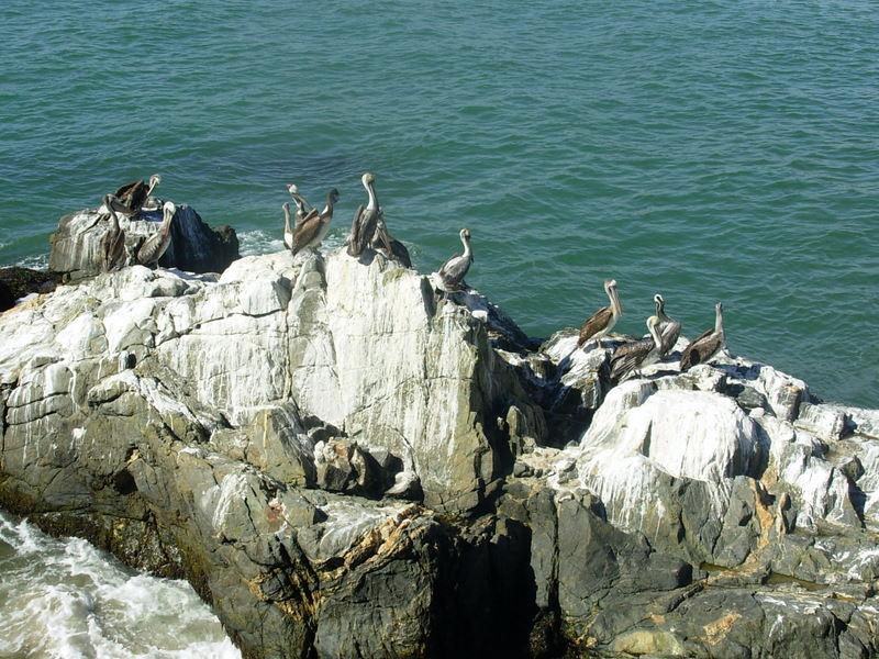 Foto de Viña del Mar, Chile