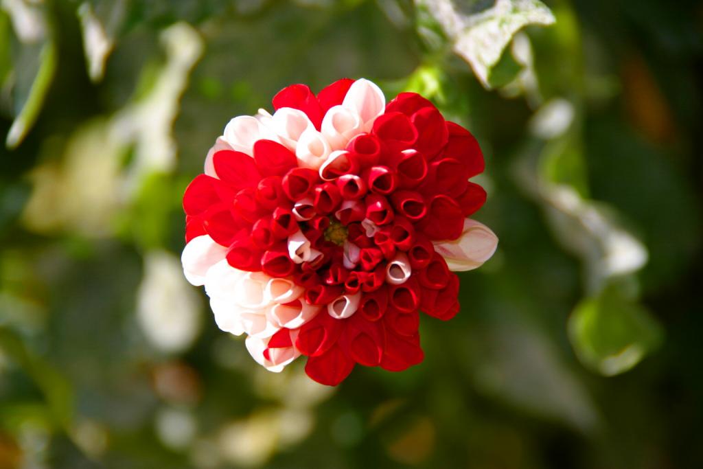 Foto de Villardeciervo (Zamora), España