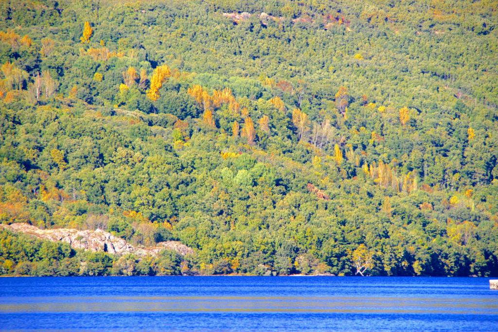Foto de Ribadelago (Zamora), España