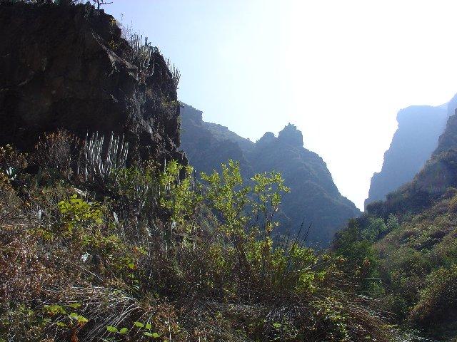 Foto de Adeje (Santa Cruz de Tenerife), España