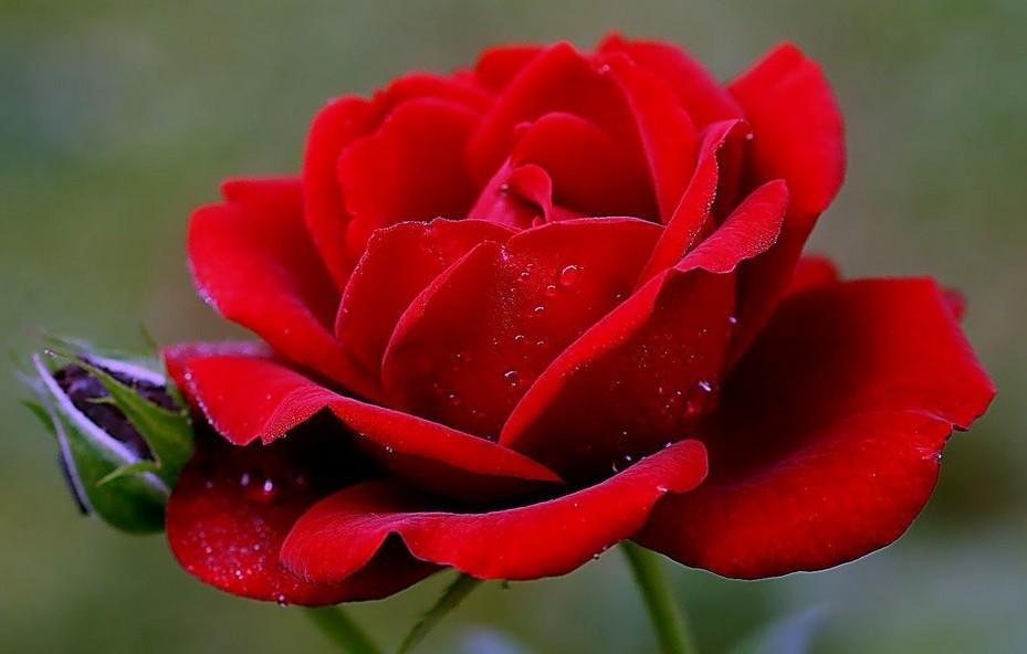 Foto de Barcelona (Cataluña), España