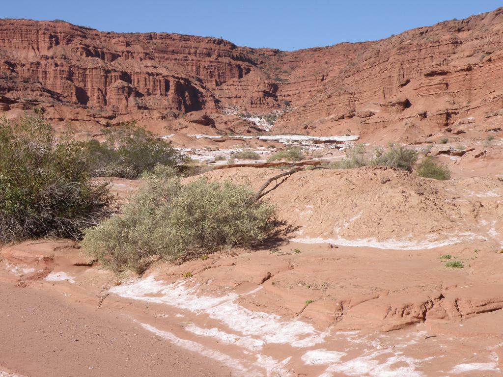 Foto de Ischigualasto (San Juan), Argentina