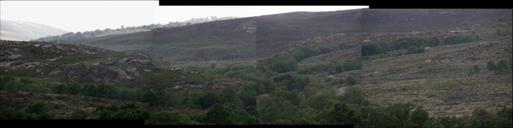 Foto de O Pereiro (Ourense), España