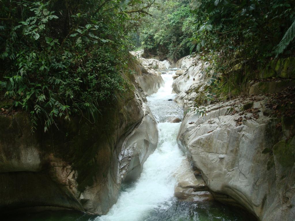 Foto de Pichanaki, Perú