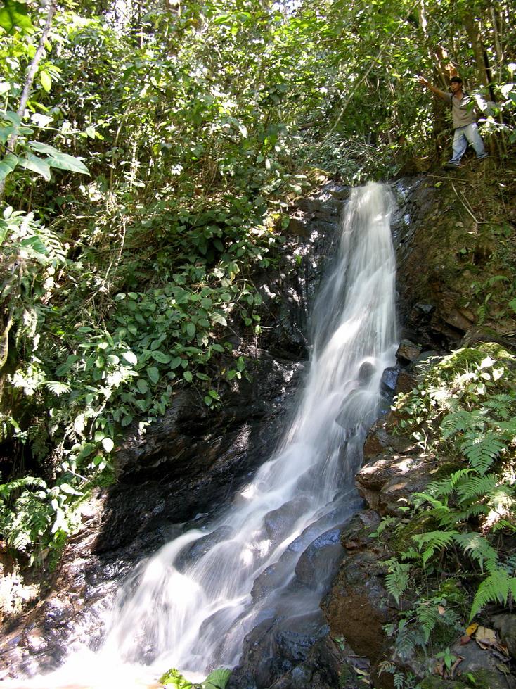 Foto de Pichanaki, Perú
