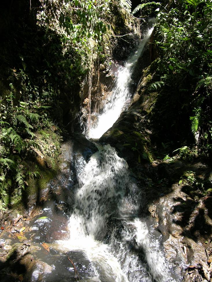 Foto de Pichanaki, Perú