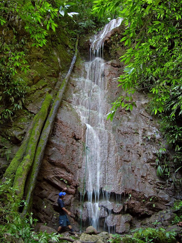 Foto de Pichanaki, Perú