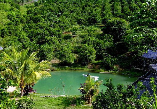 Foto de Pichanaki, Perú