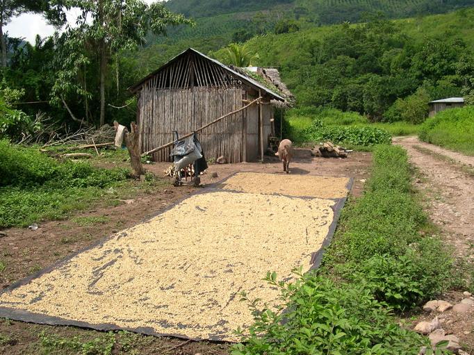 Foto de Pichanaki, Perú