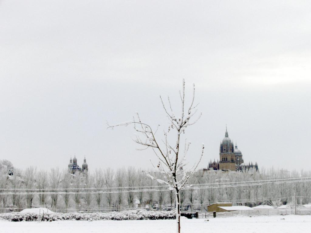 Foto de Salamanca (Castilla y León), España