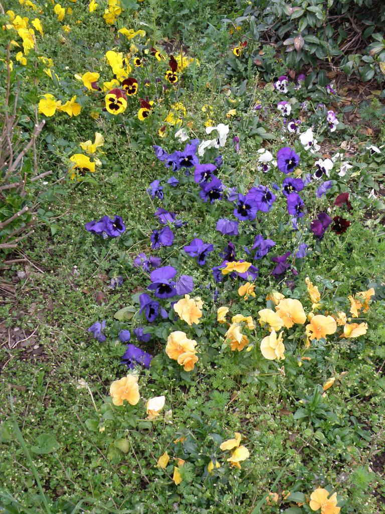 Foto de Villa General Belgrano (Córdoba), Argentina